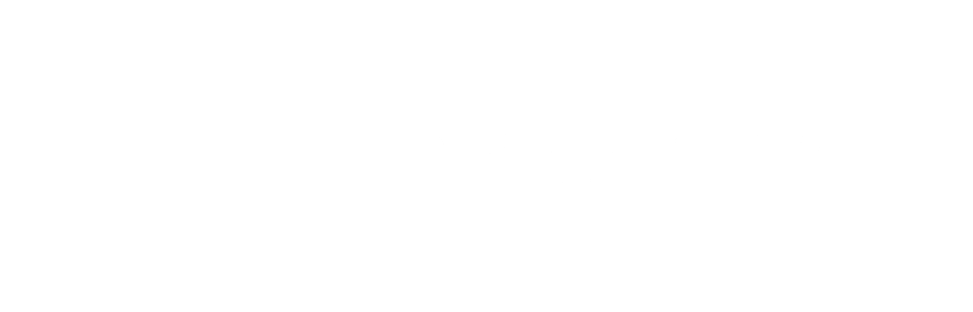 Nucleus Company